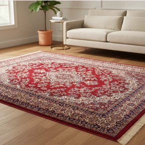 bruxelas persepolis 03 2