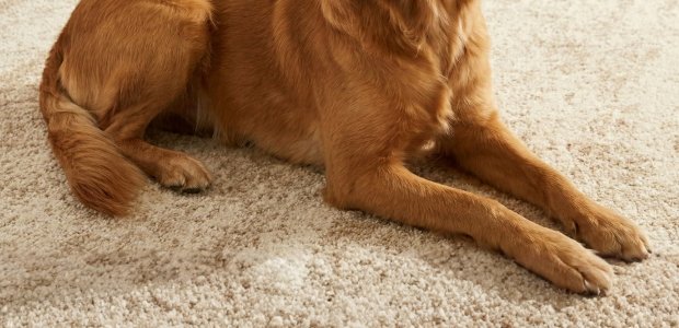 descricao batur 01 3