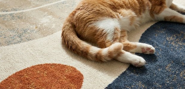 descricao batur 07 3